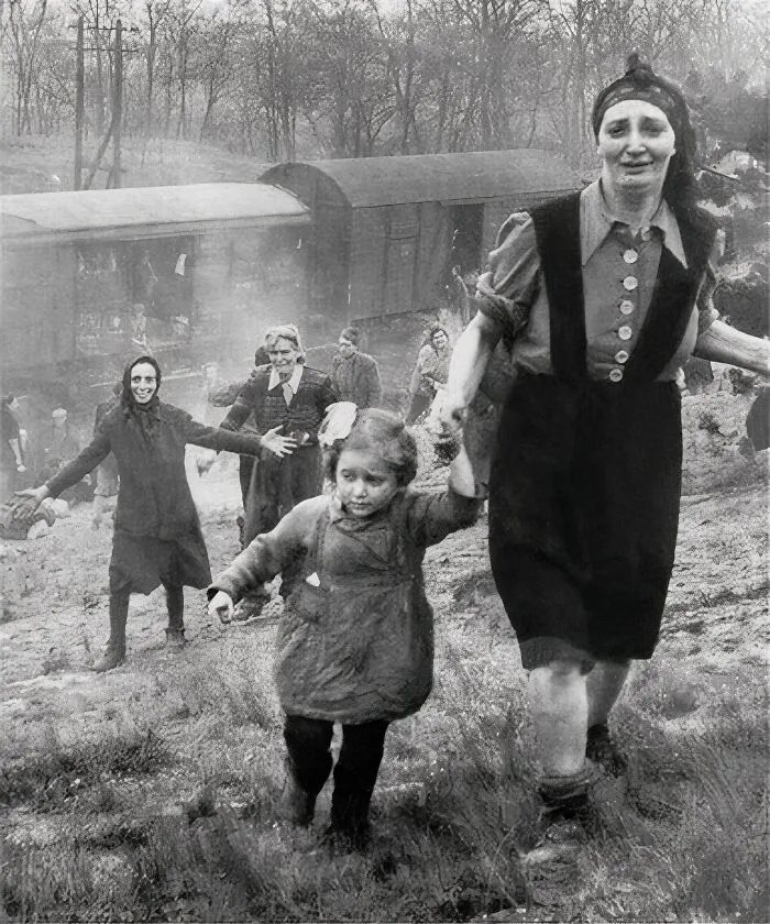 Prisoners Shipped Eastward By Train From Bergen-Belsen Concentration Camp Freed By Members Of The 743rd Tank Battalion Near Farsleben, Germany,1945