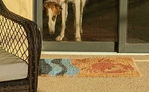 This Group Is Dedicated To Sharing Somewhat Interesting Pics, Here Are 50 To Mildly Intrigue You (New Pics)