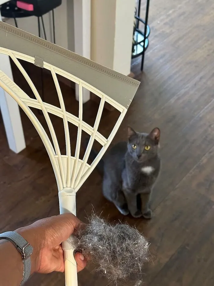 The Oddly Satisfying Feeling Of Collecting Every Last Speck Of Dust And Pet Hair Your Old Broom Just Pretended To Move Is Now Available With The <a Style="Display:inline;" Href="Https://Www.amazon.com/Original-Broombi-All-Surface-Silicone-Squeegee/Dp/B0b27bf6hy?ie=utf8&th=1&linkcode=ll1&tag=bpkoala-20&linkid=fd2e1686fcbc69efd6f39e0816a7037a&language=en_us&ref_=as_li_ss_tl" Target="_blank">  <span Style="Font: Inherit; Color: #d74b1f;"> Broombi Silicone Broom </Span>