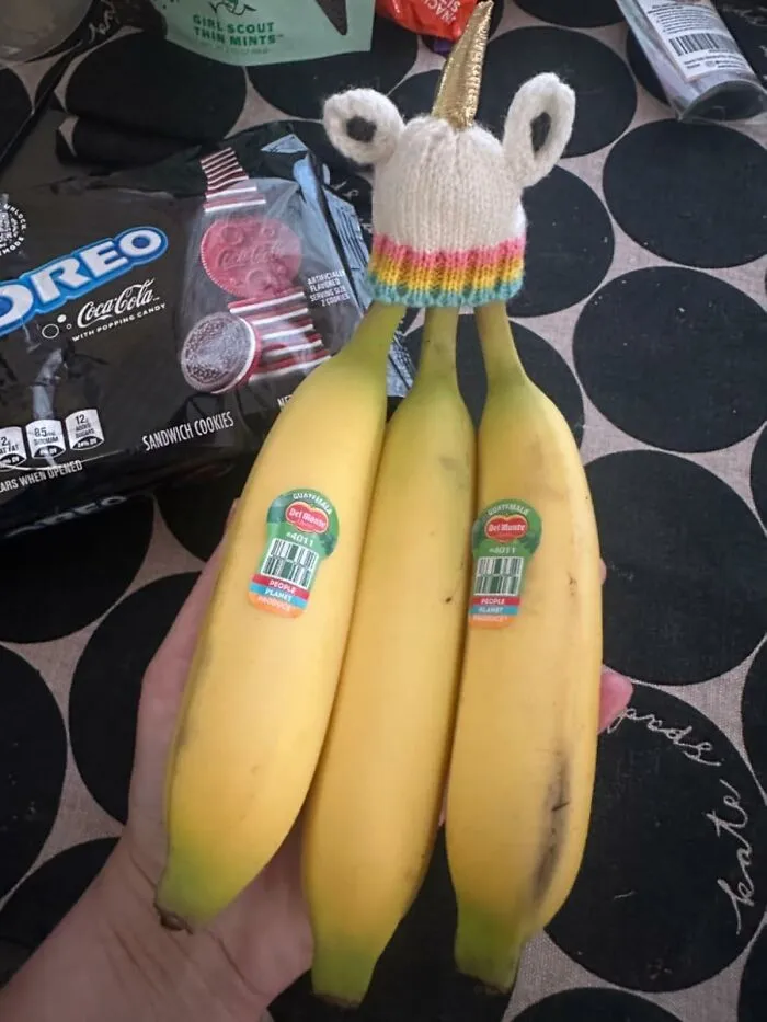 Your Bananas Can Stop Aging Like They've Seen A Ghost And Start Serving Looks With Their Own Little <a Style="Display:inline;" Href="Https://Www.amazon.com/Preserver-Bananas-Fresher-BPA-Free-Silicone/Dp/B08qms4c5q?ie=utf8&linkcode=ll1&tag=artandesignews-20&linkid=e5f9a3a7cd059aba5c448c45f0966ef2&language=en_us&ref_=as_li_ss_tl" Target="_blank">  <span Style="Font: Inherit; Color: #d74b1f;"> Knitted Banana Hats </Span>