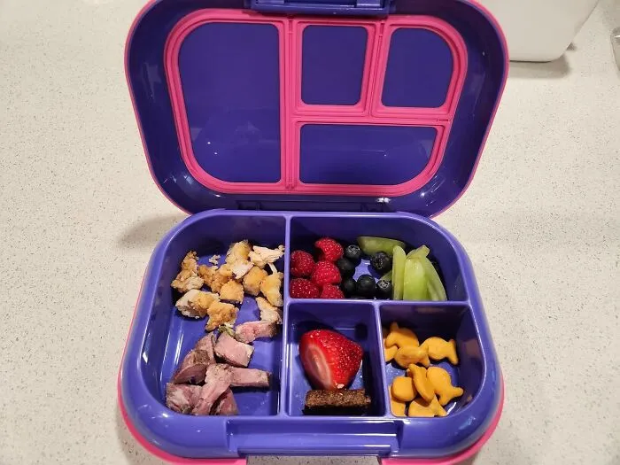 Preventing A Civil War Between The Salad Dressing And The Crackers Inside Your Backpack Is The Main Job Of A <a Style="Display:inline;" Href="Https://Www.amazon.com/Bentgo-Kids-Chill-Lunch-Box/Dp/B08cvv7z5h?ie=utf8&th=1&linkcode=ll1&tag=bpgnu-20&linkid=b98ce3b00b9264d4d3ef5848985f17ba&language=en_us&ref_=as_li_ss_tl" Target="_blank"> <span Style="Font: Inherit; Color: #d74b1f;"> Leak-Free Bento Box</Span>