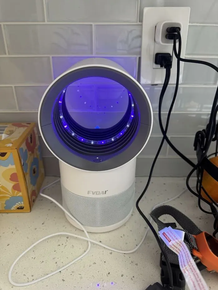 The Tiny Creatures That Materialized Out Of Thin Air The Second You Brought Home A Banana Have Met Their Match In A <a Style="Display:inline;" Href="Https://Www.amazon.com/Indoors-Indoor-Zapper-Suction-Setting/Dp/B0csjzmrc8?ie=utf8&th=1&linkcode=ll1&tag=bpdog-20&linkid=0079bbc6310b8eed62b3024ae1ec0c58&language=en_us&ref_=as_li_ss_tl" Target="_blank">  <span Style="Font: Inherit; Color: #d74b1f;"> Fruit Fly Trap </Span>