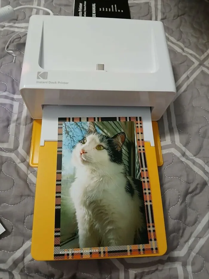 A <a Style="Display:inline;" Href="Https://Www.amazon.com/Kodak-Dock-Instant-Photo-Printer/Dp/B088prx3bd?ie=utf8&th=1&linkcode=ll1&tag=bpgnu-20&linkid=3187895081a2d0a6dbc6f788d6c37345&language=en_us&ref_=as_li_ss_tl" Target="_blank"> <span Style="Font: Inherit; Color: #d74b1f;"> Kodak Instant Photo Printer</Span> Lets You Create An Irl Version Of Your Instagram Feed For Your Dorm Room Wall