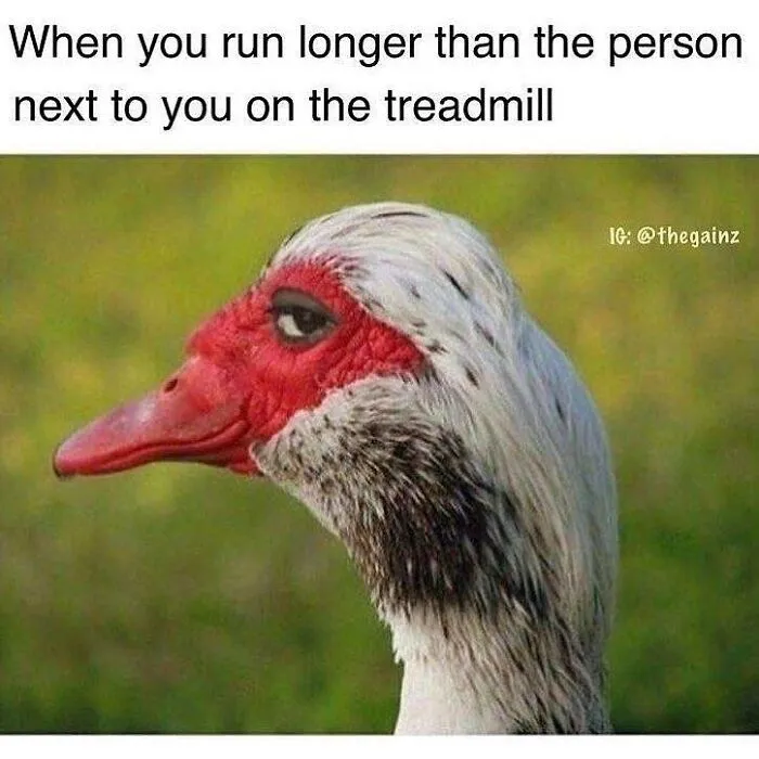 50 Gym Memes That Pick At The Stereotypes But Are Also Pretty Relatable
