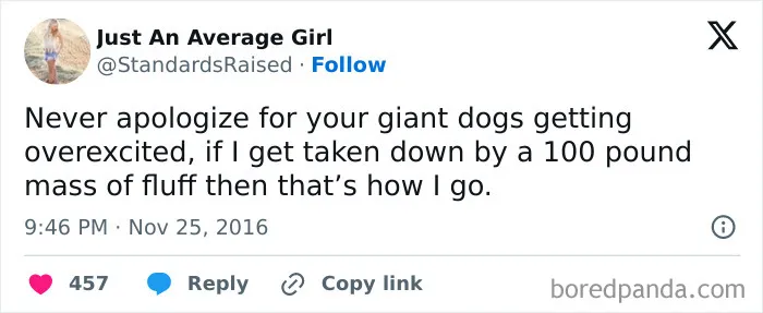 Feeling Low? These 50 Emotional Support Dog Memes Got You