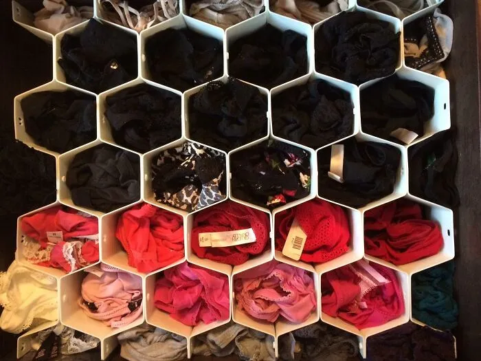 Your Underwear Drawer, A Chaotic Landscape Of Mismatched Socks And Forgotten Intimates, Can Finally Be Brought To Order With This <a Style="Display:inline;" Href="Https://Www.amazon.com/Whitmor-6025-3928-Honeycomb-Drawer-Organizer/Dp/B00ca26hgw?ie=utf8&th=1&linkcode=ll1&tag=bppanda-20&linkid=dcfe4748cf0315687aeddc9f1197a1d5&language=en_us&ref_=as_li_ss_tl" Target="_blank">  <span Style="Font: Inherit; Color: #d74b1f;"> Honeycomb Underwear Drawer Organiser </Span>