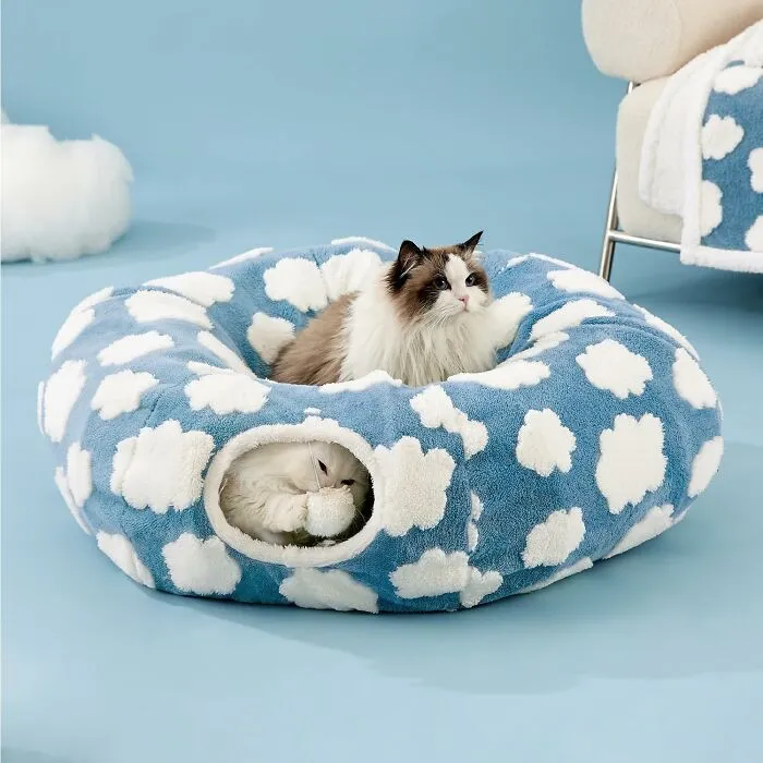 The <a Style="Display:inline;" Href="Https://Www.amazon.com/Lesure-Cat-Tunnel-Indoor-Cats/Dp/B0cth3y4px?dib=eyj2ijoimsj9.7eg5kus48zvovnovg5_j4qnhncnqfqbompc10jsackcbaijekp2jha-Sbu5bwuxjpfnnxdxeicw19a6fpqyyeawhv3qpoiyfbg82_uqe8o532adduexcz6rs6bgqnrb_ibhtiyevjjzqs1xnfe96cl_m2r6vi9acjba_r5xjql0.b8jmhsuq4hwhvonkivrthziurmzjqmnmjctysoulywg&dib_tag=se&qid=1751353548&sr=8-68&srs=121543458011&xpid=tlbsc5b0ta_64&th=1&linkcode=ll1&tag=bpcrab-20&linkid=aa2378fc2094456f65758128e9a4af44&language=en_us&ref_=as_li_ss_tl" Target="_blank">    <span Style="Font: Inherit; Color: #d74b1f;"> Cat Tunnel Bed</Span> Is The Official Arena For The 3 A.m. Zoomies And The Subsequent Post-Zoomie Crash