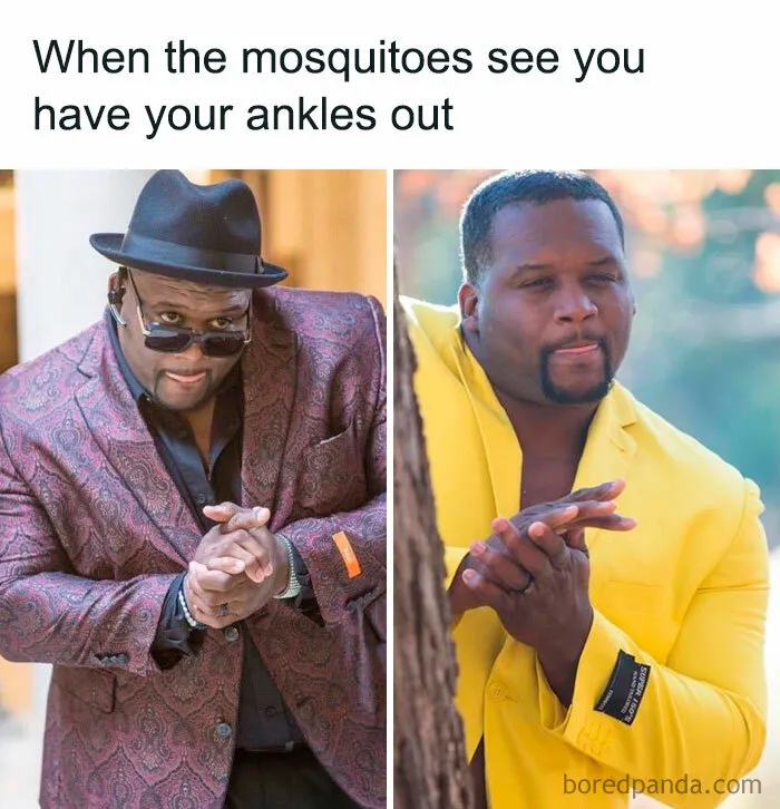 50 Red-Hot And Hilarious Summer Memes To Laugh At While You Pretend To Enjoy Being Outside