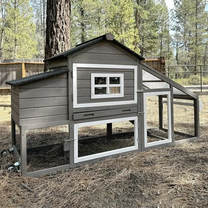 Your Backyard Chickens Can Live A Life Of Luxury In An <a Style="Display:inline;" Href="Https://Www.amazon.com/Gutinneen-Chicken-Expandable-Tractor-Chickens/Dp/B0f6bt88kd?crid=1yu66kto7ilrj&dib=eyj2ijoimsj9.ig42nsukhpjct_rhvhxgbnl4whxqjtm_5gnogx3f-Wllh4przpbk_-Qn5szohgtymw4e6jadpaf_vb02-Bdo5yhfidhp01qdibejtvc6iga.wwqn3ql5qdaplk9jpzv39xltt5haaqlff96ig2u2whg&dib_tag=se&keywords=cool%2bchicken%2bcoup&qid=1753438457&sprefix=cool%2bchicken%2bcoup%2caps%2c192&sr=8-2&th=1&linkcode=ll1&tag=bpbobcat-20&linkid=b7d19518969c45e8ee9b76469949db8a&language=en_us&ref_=as_li_ss_tl" Target="_blank">  <span Style="Font: Inherit; Color: #d74b1f;"> Adorable Chicken Coup Farmhouse</Span>