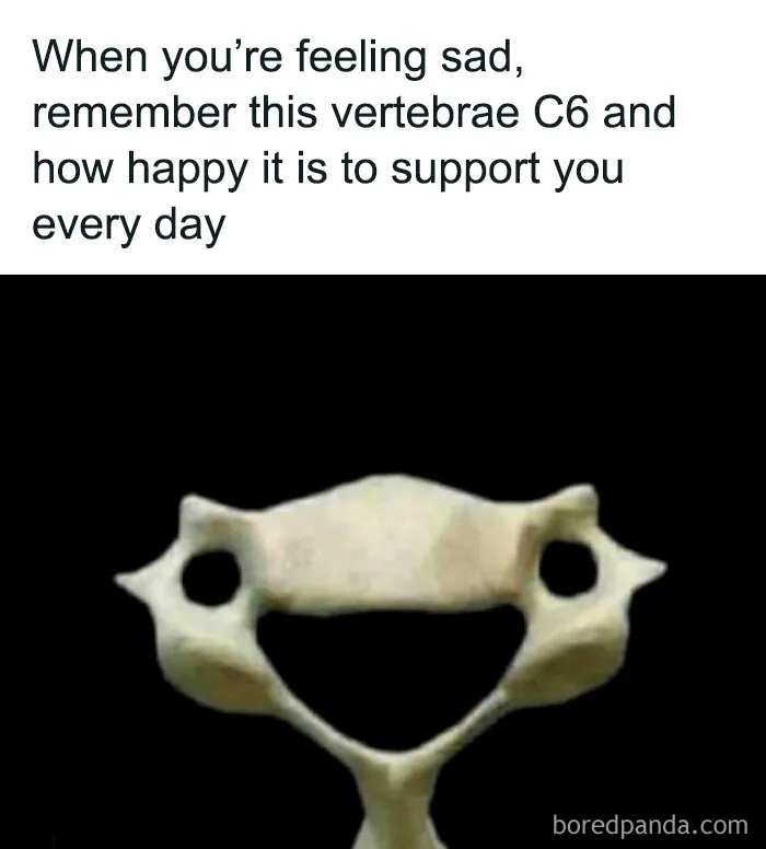 50 Hilarious Medical Memes You Don’t Need To Be A Doctor To Understand