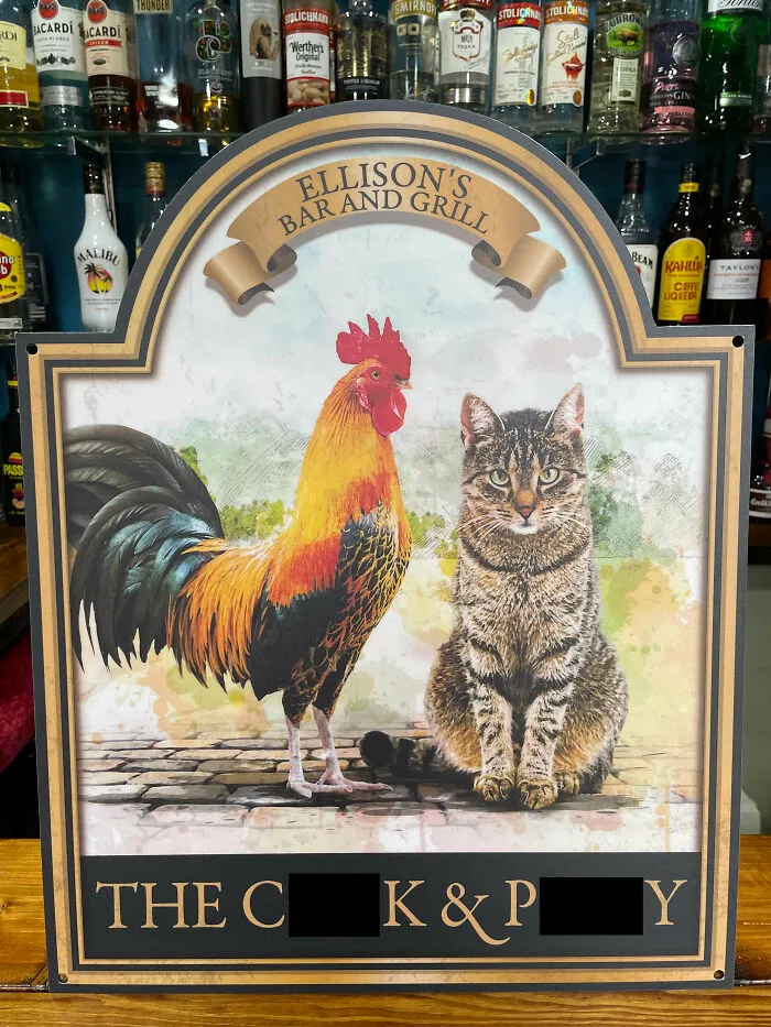 A Roaster And A Cat