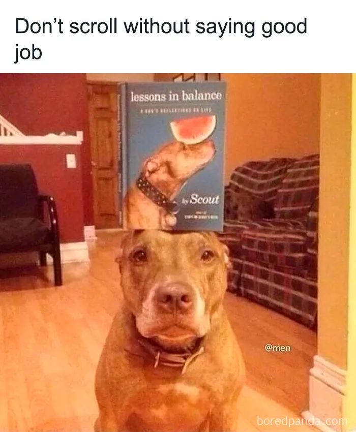 50 Memes That Are So Unhinged And Weird It's Funny