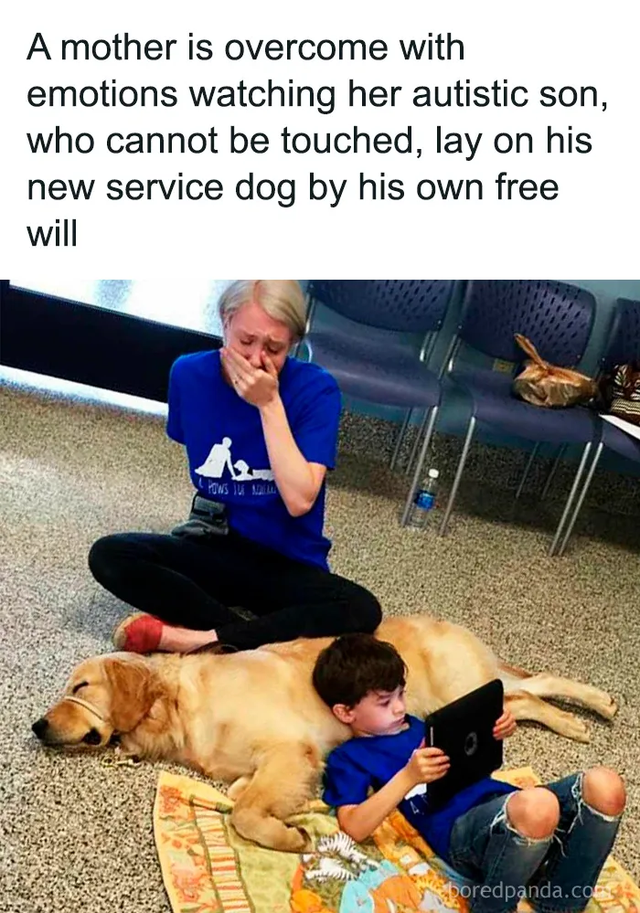 50 Cute And Funny Pics For Your Daily Dose Of Dog Content