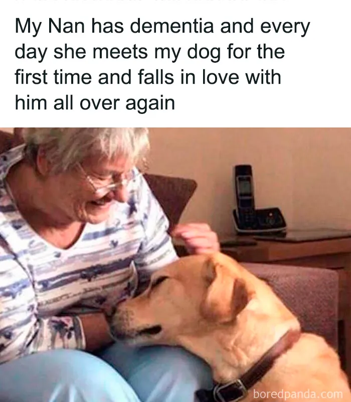 50 Cute And Funny Pics For Your Daily Dose Of Dog Content