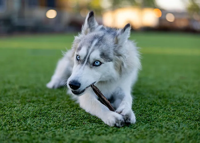 50 Facts People Are Tired Of Explaining Because Some Still Refuse To Believe Them
