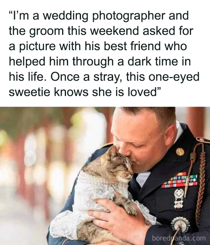Aww