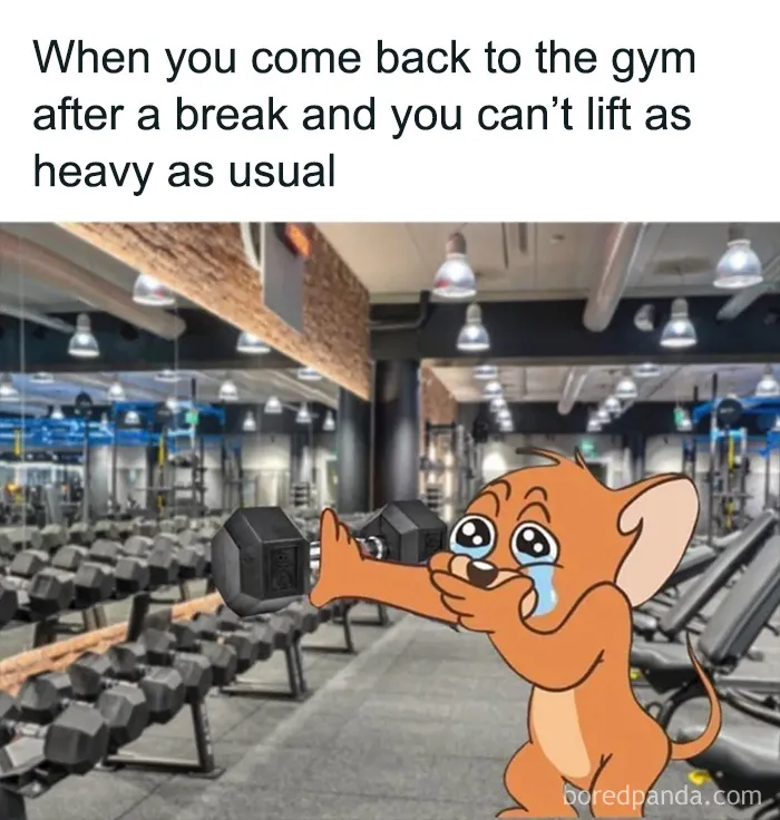 50 Gym Memes That Pick At The Stereotypes But Are Also Pretty Relatable