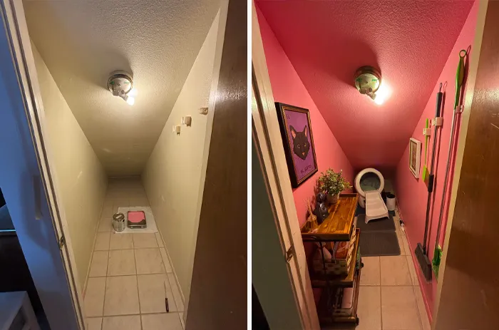 Before And After: Kitty Room!