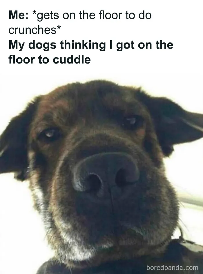 50 Gym Memes That Pick At The Stereotypes But Are Also Pretty Relatable