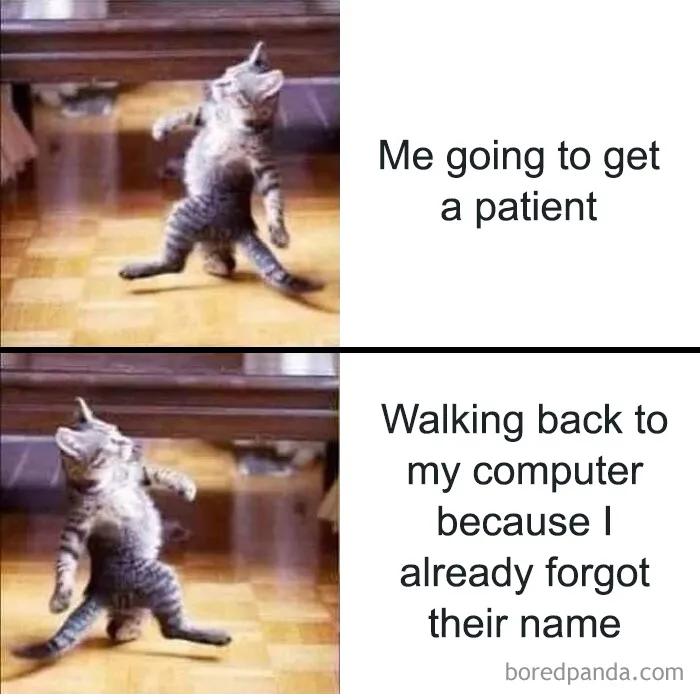 Funny medical meme showing a cat walking confidently, illustrating the humor in healthcare and medical memes.