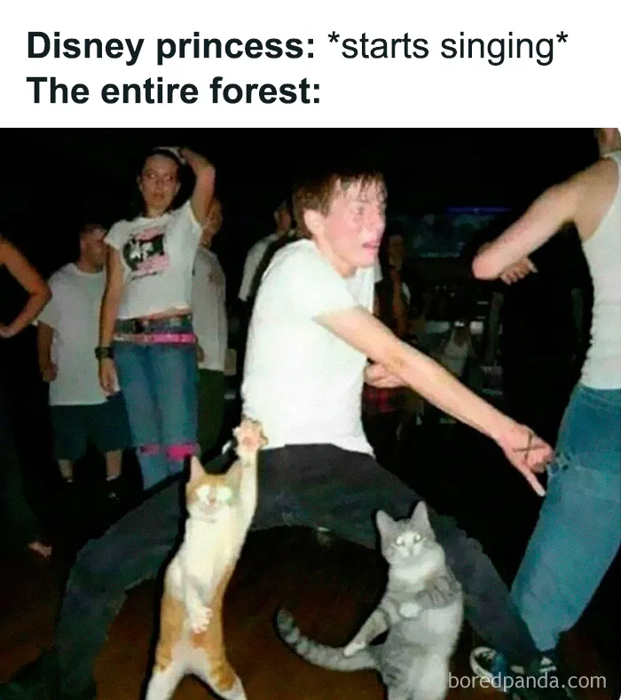 Two cats dancing with a person at a party, adding to memes for those who like weird and unhinged humor.