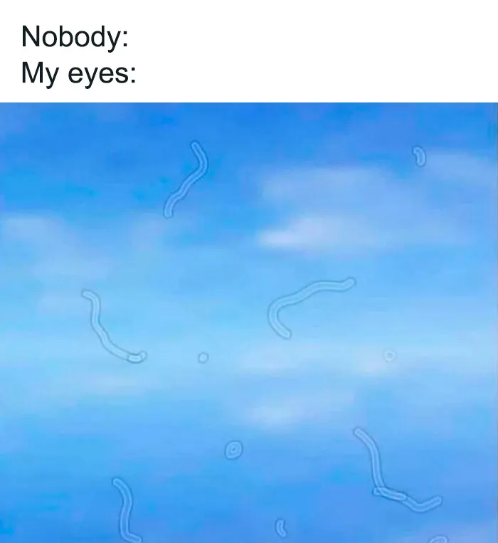 50 Memes That Are So Unhinged And Weird It's Funny