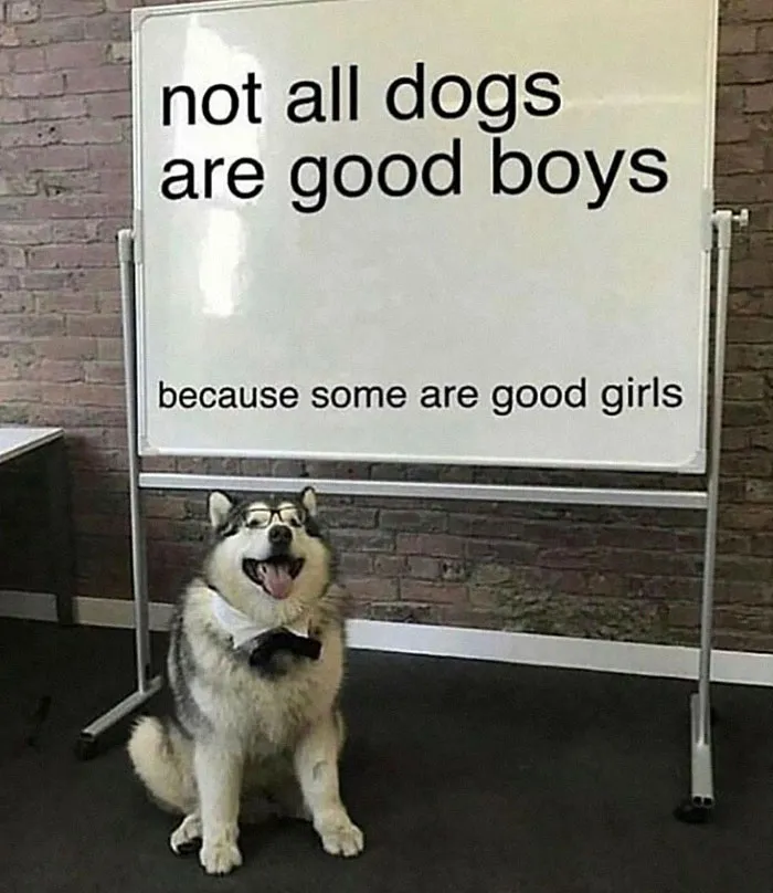 Gender Neutral Truths