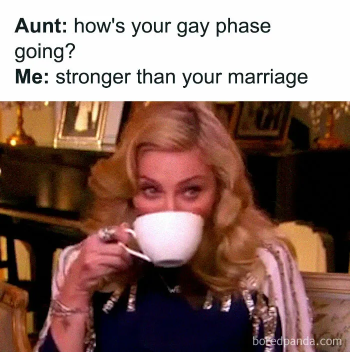 50 Queer Memes That Won’t Make You Gay But May Make You Laugh