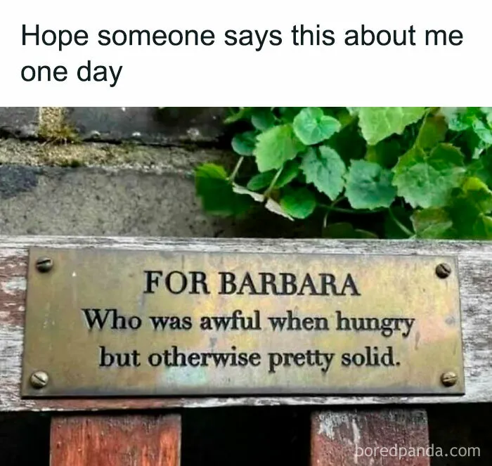 "Circle Of Idiots": These 50 Posts Have No Business Being This Funny (New Pics)