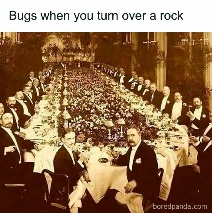 50 Posts Ranging From Hilarious To Highly Relatable