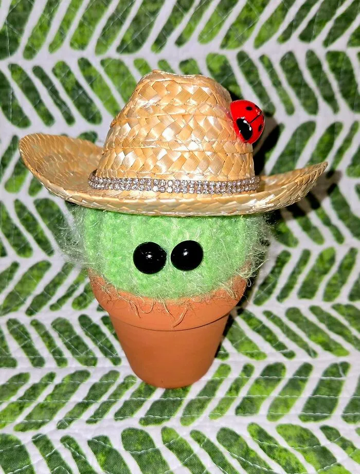 Not Technically A Plant... But He Recognizes As A Cactus. LOL