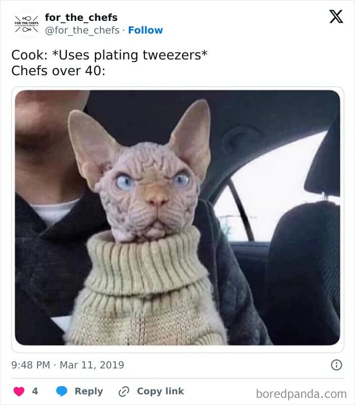 50 Chaotic Chef Memes That Hit Like a 12-Hour Line Shift With No Breaks