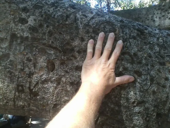 What Is The Hand On?