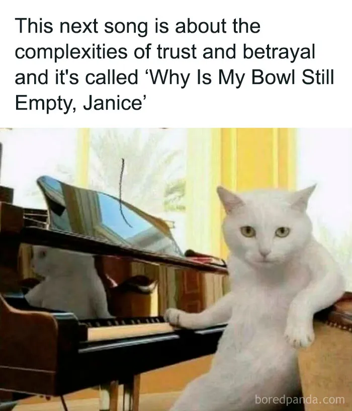 Now That's Hilarious. 🤣