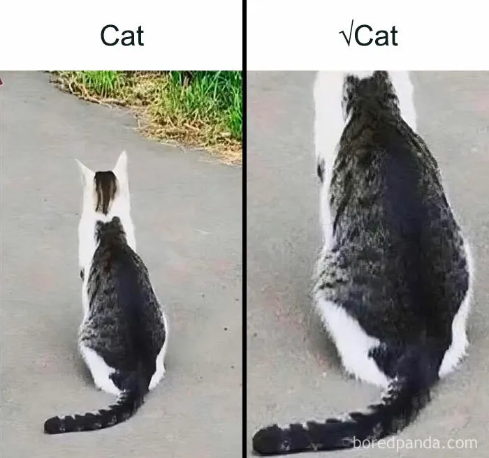 50 Funny Memes That Explain Science Better Than Textbooks
