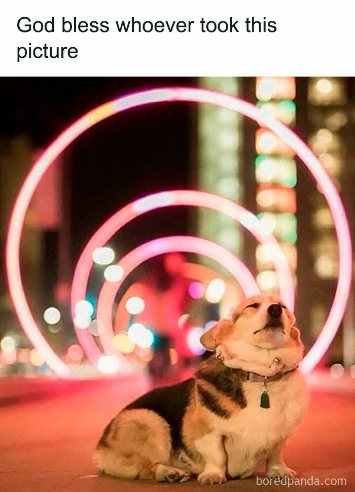 Perfect Timing, Perfect Pose