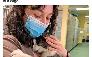 “Grandma Is Taking Over”: 50 Wholesome Posts To Distract You From The Current Horrors Of The World