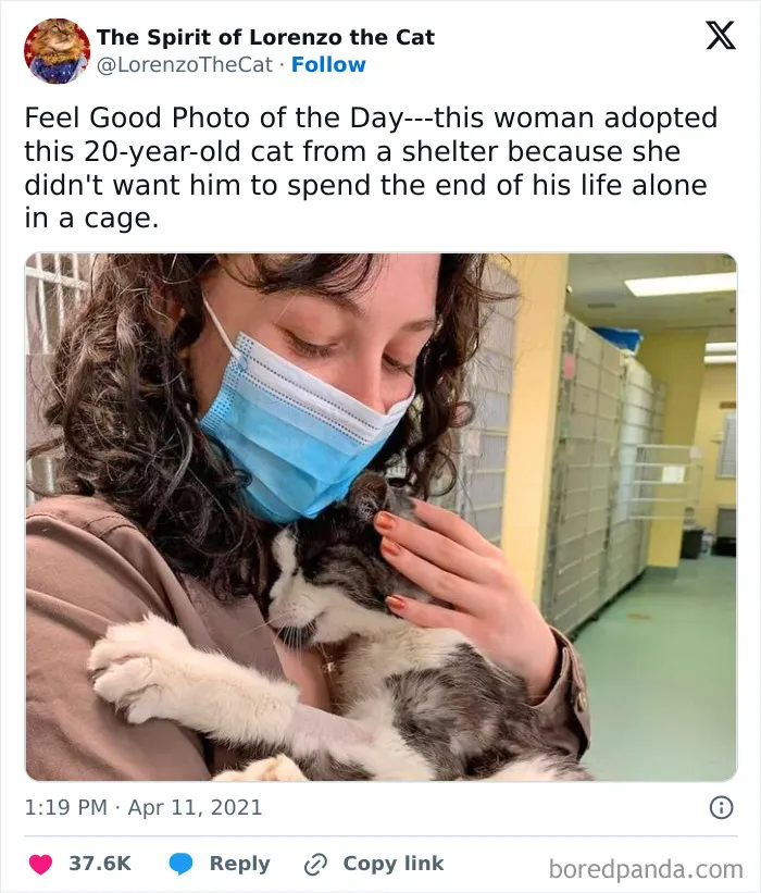This Made Smile And Then Go Pet My 15 Year Old Cat