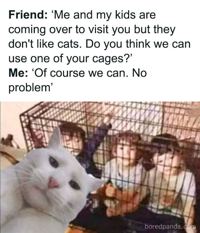 😂😂