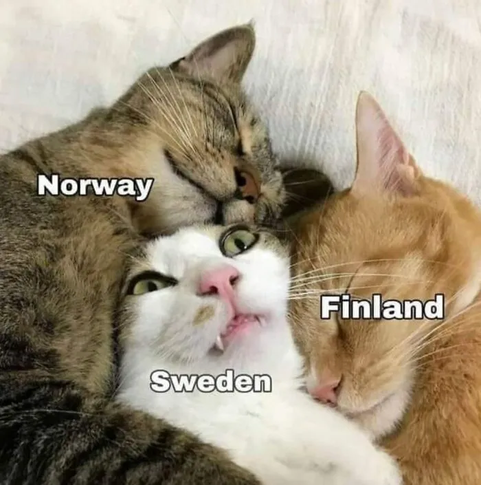 Nordic Map: Cat Edition