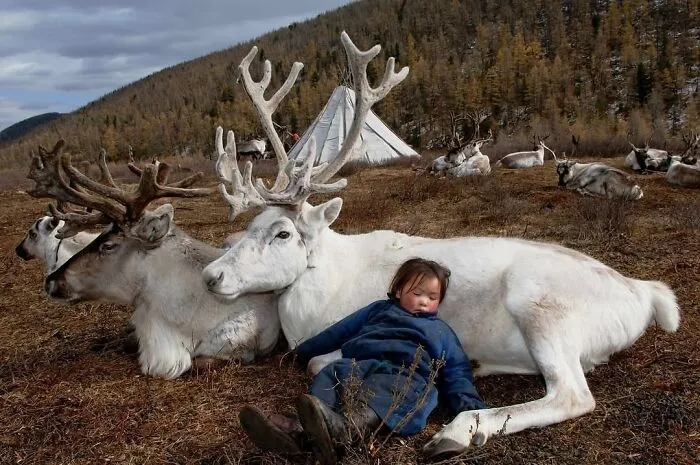 This Instagram Page Collects Hilarious And Wholesome Animal Photos, Here Are 40 Of The Best Ones