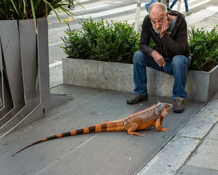 These 40 Photos Weren’t Planned Or Staged, They Just Happened And I Was There To Catch Them