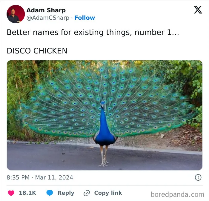 50 Funny And Relatable Animal Memes To Instantly Improve Your Entire Day (New Pics)