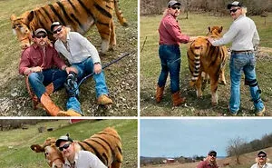 40 Hilarious Redneck Memes That Prove That Their Brains Are Just Wired Differently