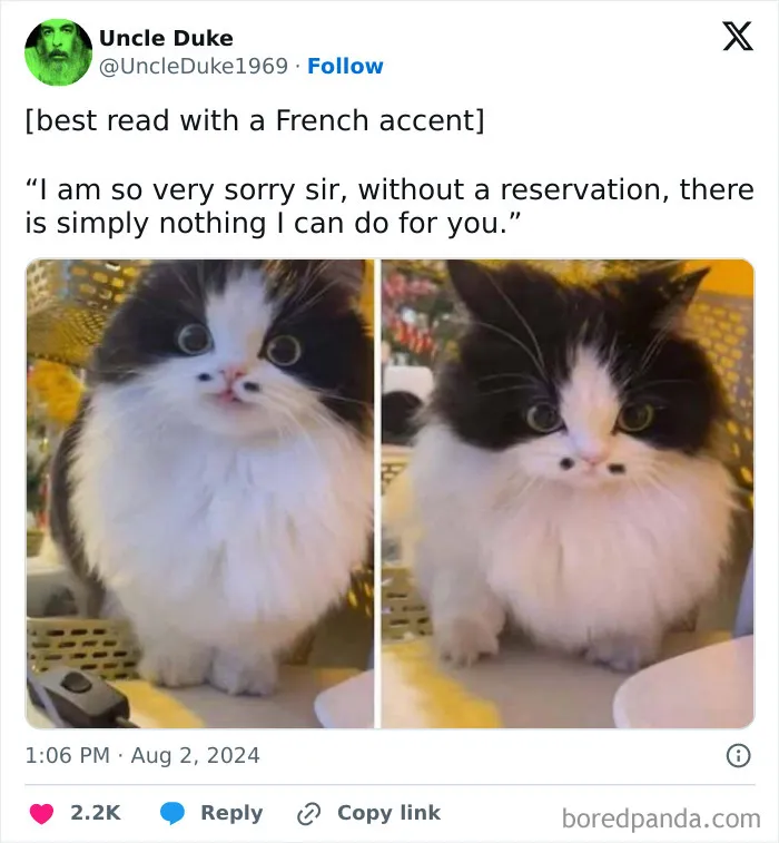 50 Funny And Relatable Animal Memes To Instantly Improve Your Entire Day (New Pics)