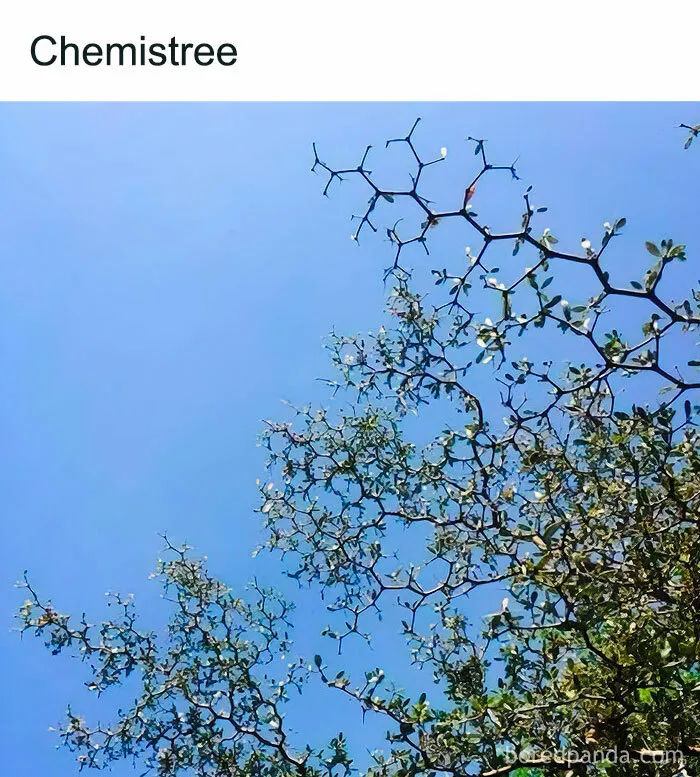 50 Funny Memes That Explain Science Better Than Textbooks