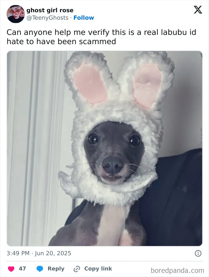30 Memes About The Horrid New Trend That Is Labubu