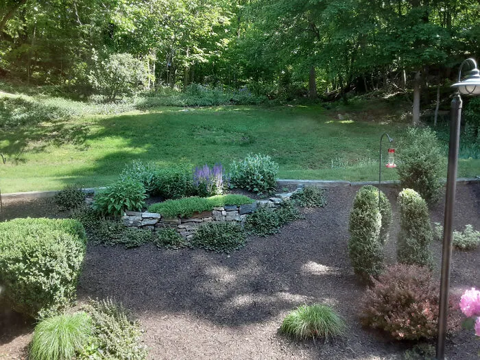 From Kitchen Window