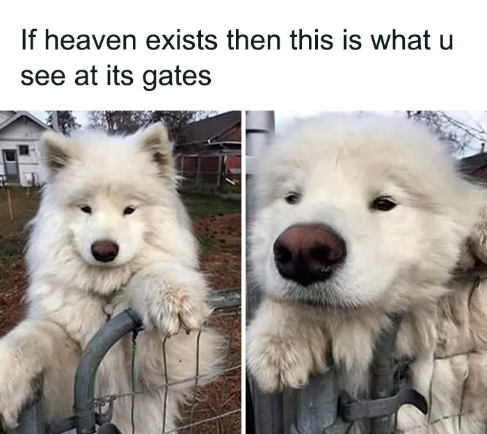 Gatekeeper Goals