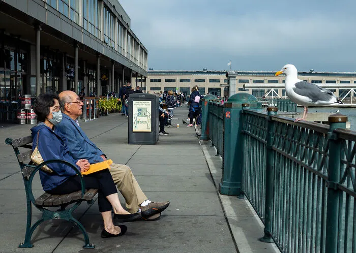 These 40 Photos Weren’t Planned Or Staged, They Just Happened And I Was There To Catch Them